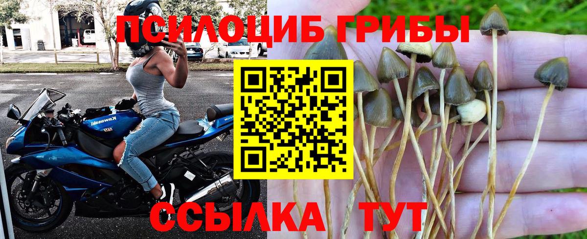 Галлюциногенные грибы GOLDEN TEACHER  Вход с VPN  Елец 